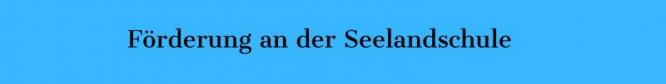 foerderung_an_der_seelandschule.jpg